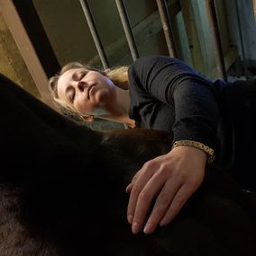 Hest Freja Flensburg Hestemassør Hestemassage