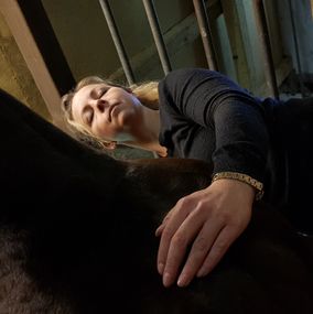 Hest Freja Flensburg Hestemassør Hestemassage