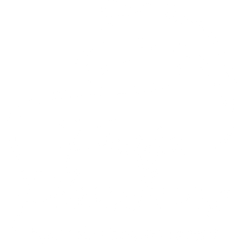 Freja Flensburg - Fysiurgisk hesteterapeut