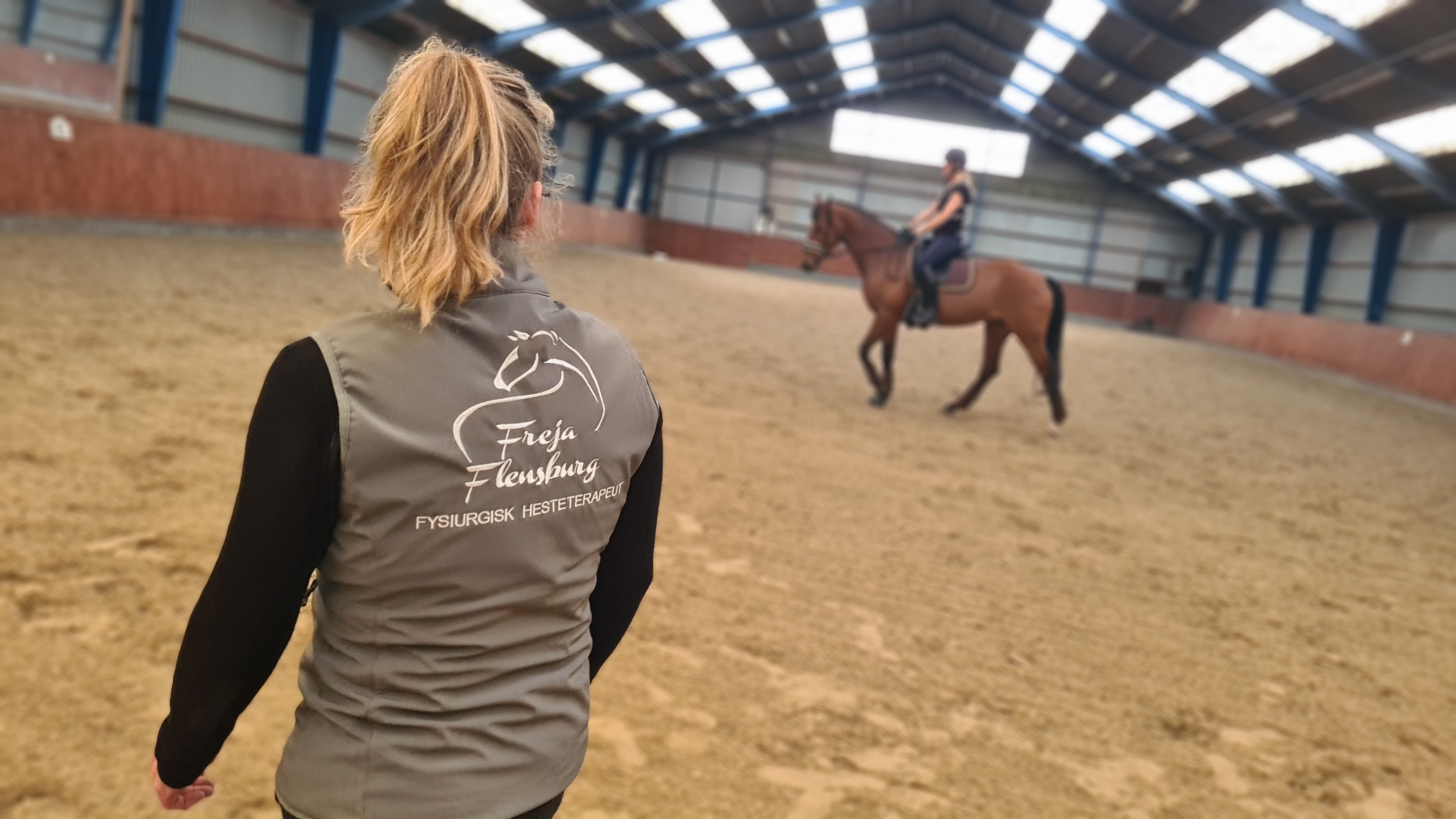Undervisning Hest Freja Flensburg Hestemassør Hestemassage Undervisning Hest Freja Flensburg Hestemassør Hestemassage