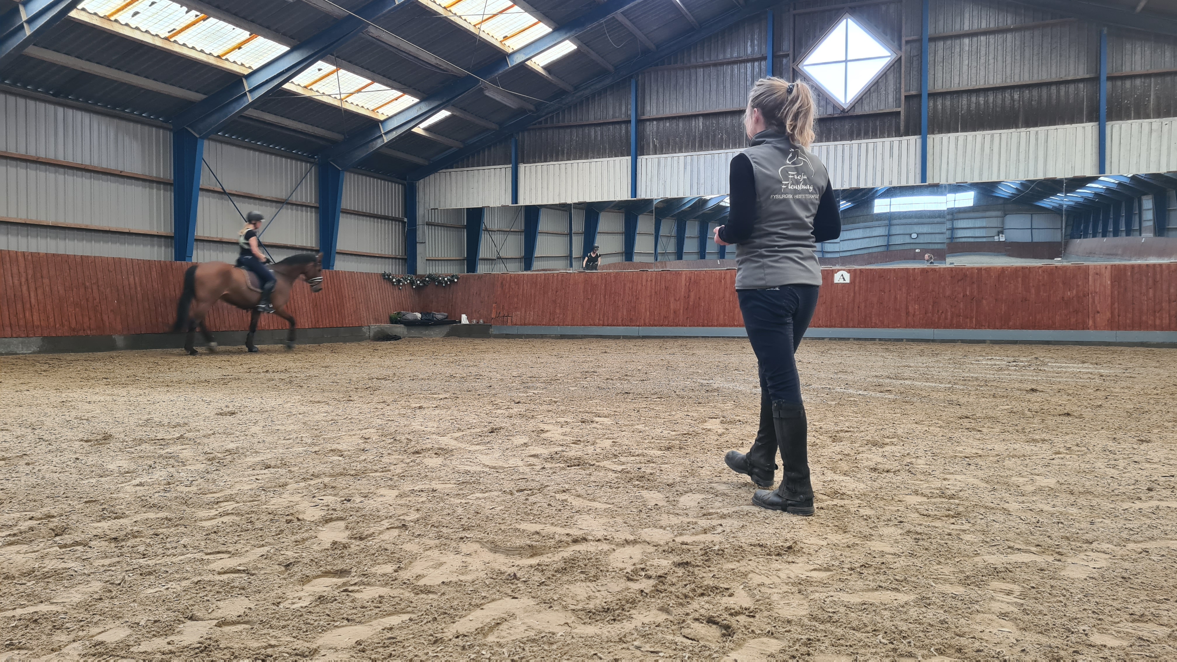 Hest undervisning Freja Flensburg Hestemassør Hestemassage Hest undervisning Freja Flensburg Hestemassør Hestemassage