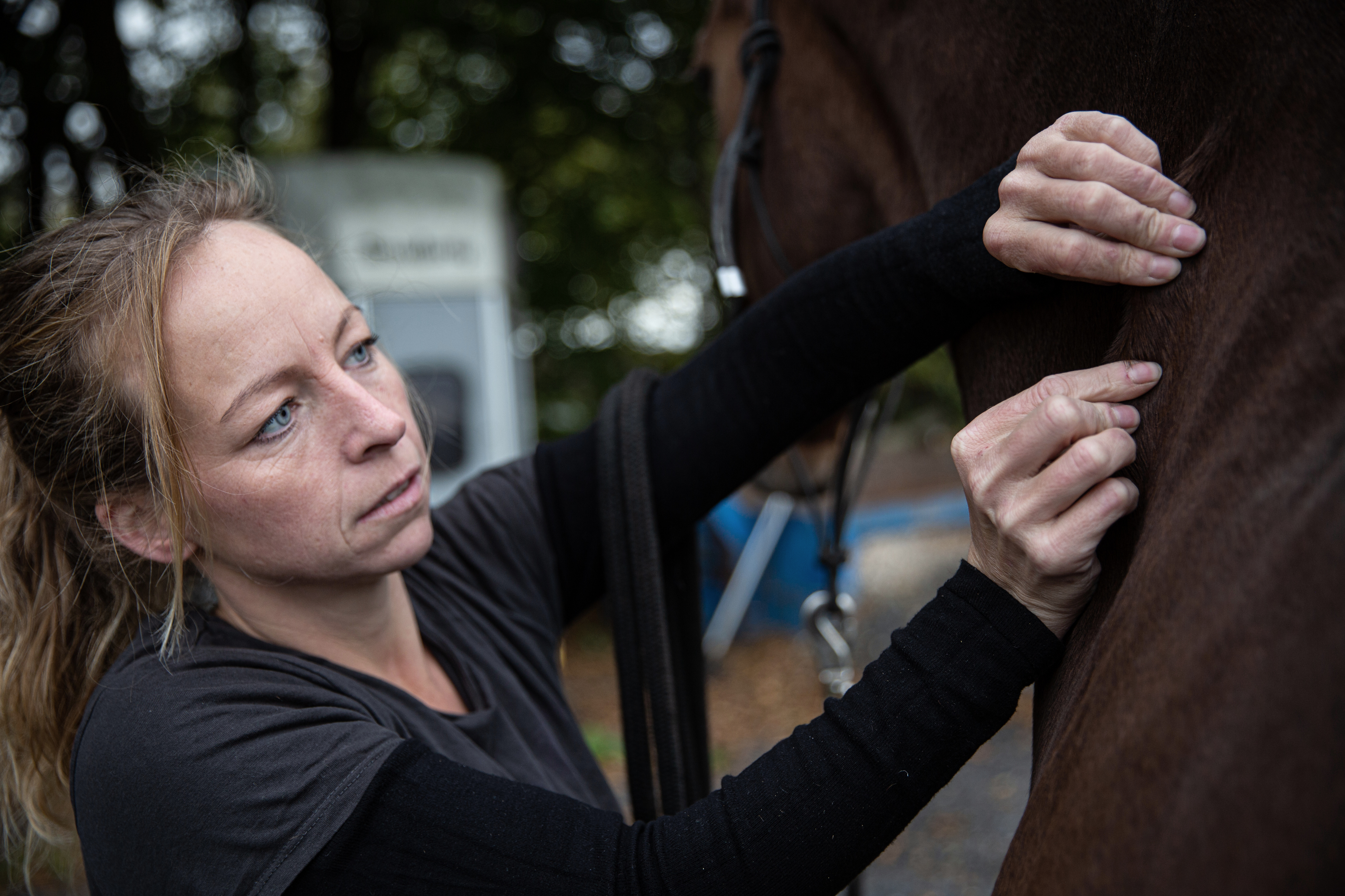 Hest Fascia bindevævsløsning Freja Flensburg Hestemassør Hestemassage Hest Fascia bindevævsløsning Freja Flensburg Hestemassør Hestemassage
